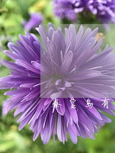 秦皇岛有法律援助中心吗 秦皇岛有法律援助中心吗