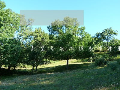 秦皇岛本地债务律师事务所 秦皇岛本地债务律师事务所