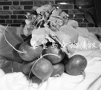 秦皇岛本地债权债务律师费用 秦皇岛本地债权债务律师费用
