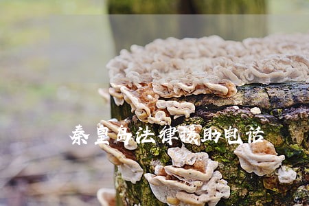 秦皇岛法律援助电话 秦皇岛法律援助电话