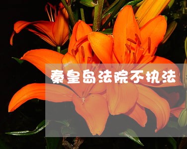 秦皇岛法院不执法