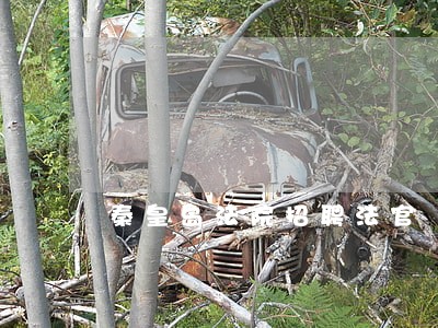 秦皇岛法院招聘法官