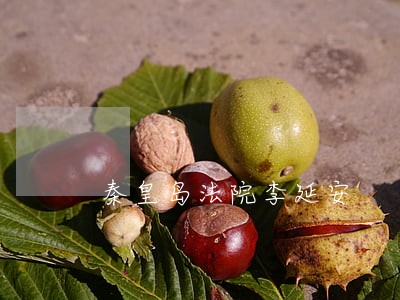 秦皇岛法院李延安 秦皇岛法院李延安