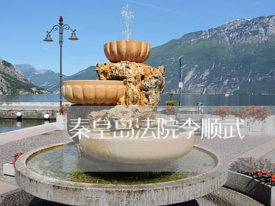 秦皇岛法院李顺武