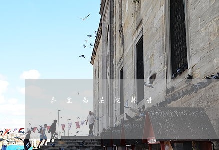 秦皇岛法院杨丹 秦皇岛法院杨丹