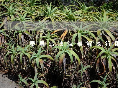 秦皇岛法院破解执行困局 秦皇岛法院破解执行困局