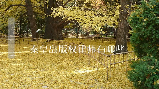 秦皇岛版权律师有哪些 秦皇岛版权律师有哪些