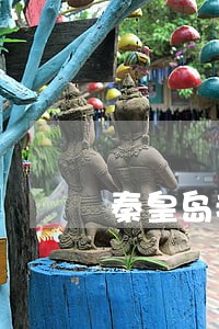 秦皇岛疫情期间法院是否开庭