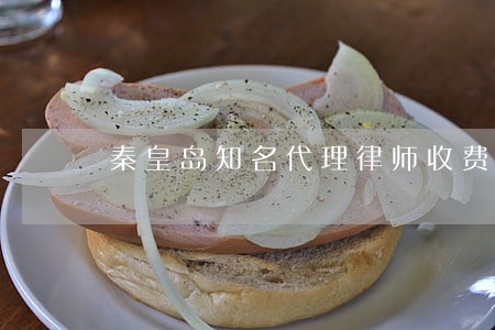 秦皇岛知名代理律师收费 秦皇岛知名代理律师收费