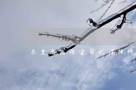 秦皇岛离婚官司代理律师收费 秦皇岛离婚官司代理律师收费