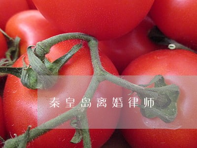秦皇岛离婚律师 秦皇岛离婚律师