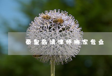 秦皇岛请律师哪家专业