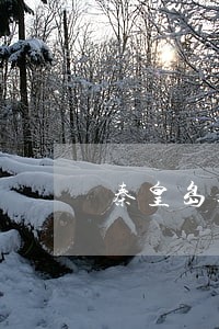 秦皇岛违法填海