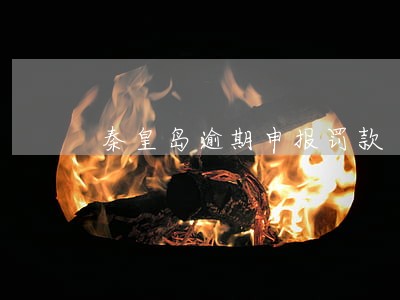 秦皇岛逾期申报罚款 秦皇岛逾期申报罚款
