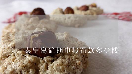 秦皇岛逾期申报罚款多少钱 秦皇岛逾期申报罚款多少钱