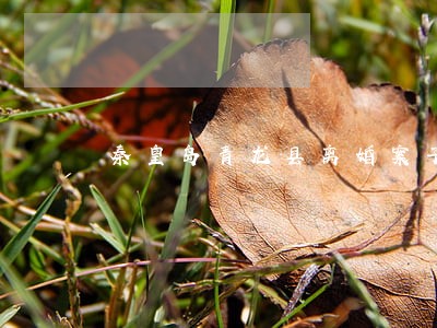 秦皇岛青龙县离婚案子律师费用 秦皇岛青龙县离婚案子律师费用