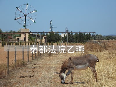 秦都法院乙燕 秦都法院乙燕