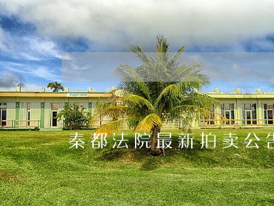 秦都法院最新拍卖公告 秦都法院最新拍卖公告