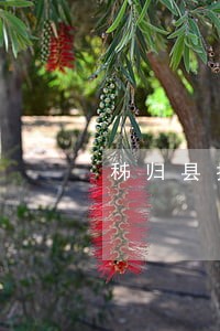 秭归县抚养费案律师免费咨询 秭归县抚养费案律师免费咨询