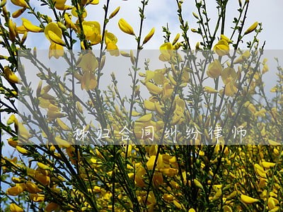秭归合同纠纷律师 秭归合同纠纷律师