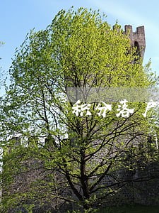 积分落户逾期后面还可以申请吗 积分落户逾期后面还可以申请吗