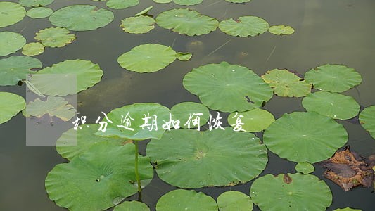 积分逾期如何恢复 积分逾期如何恢复