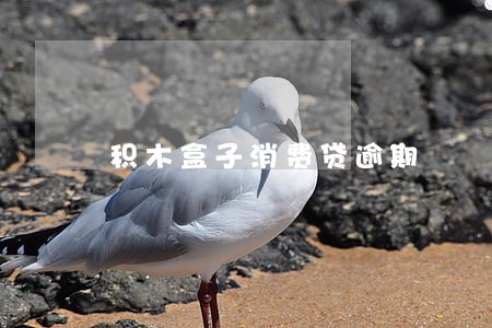 积木盒子消费贷逾期
