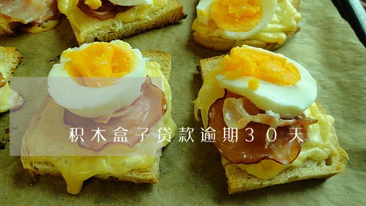 积木盒子贷款逾期30天 积木盒子贷款逾期30天