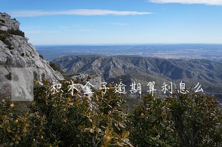 积木盒子逾期算利息么 积木盒子逾期算利息么
