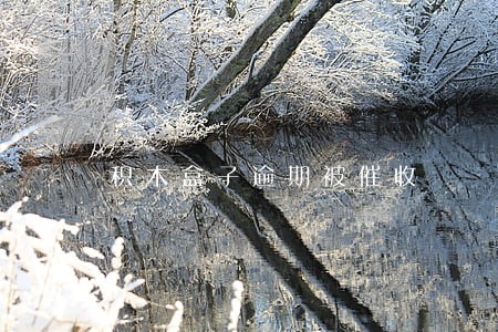 积木盒子逾期被催收