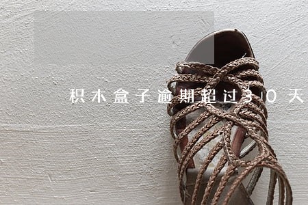 积木盒子逾期超过30天 积木盒子逾期超过30天