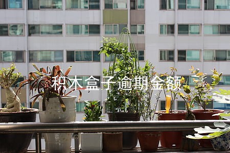 积木盒子逾期金额 积木盒子逾期金额