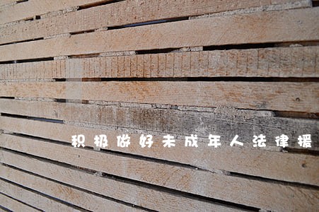 积极做好未成年人法律援助工作 积极做好未成年人法律援助工作