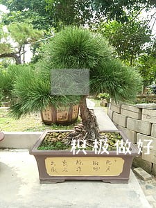 积极做好逾期贷款催收工作 积极做好逾期贷款催收工作