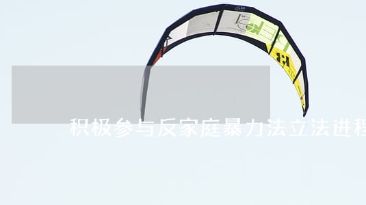 积极参与反家庭暴力法立法进程 积极参与反家庭暴力法立法进程