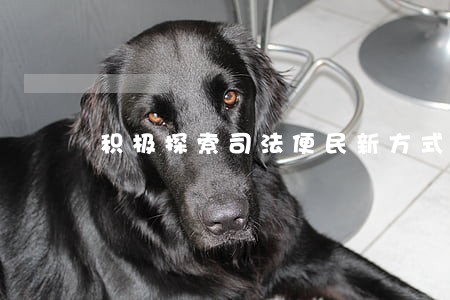 积极探索司法便民新方式 积极探索司法便民新方式