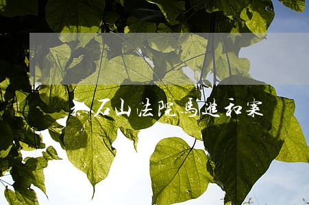 积石山法院马进和案 积石山法院马进和案
