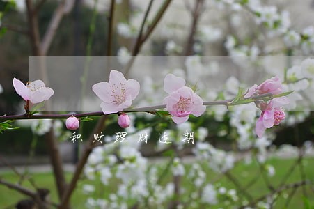 积财理财逾期 积财理财逾期