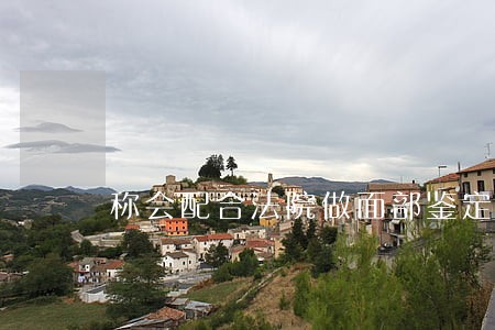 称会配合法院做面部鉴定 称会配合法院做面部鉴定