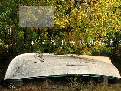 称其收电子眼拍照费违法 称其收电子眼拍照费违法