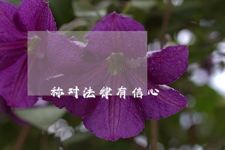 称对法律有信心 称对法律有信心