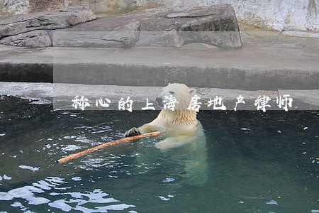称心的上海房地产律师