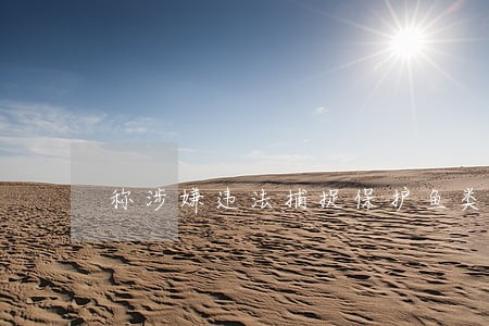 称涉嫌违法捕捉保护鱼类素材 称涉嫌违法捕捉保护鱼类素材