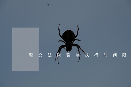 移交法院强制执行时间限制 移交法院强制执行时间限制