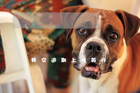 移交逾期上报英行 移交逾期上报英行