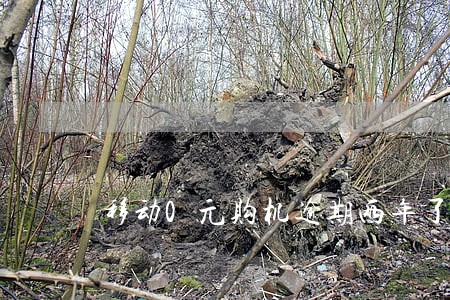 移动0元购机逾期两年了 移动0元购机逾期两年了