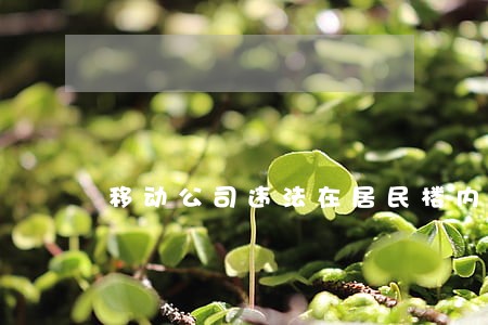 移动公司违法在居民楼内设置基站 移动公司违法在居民楼内设置基站