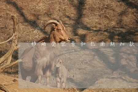 移动变空号和包逾期扣款怎么处理 移动变空号和包逾期扣款怎么处理