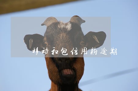 移动和包信用购逾期 移动和包信用购逾期
