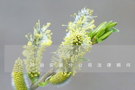 移动安徽分公司法律顾问 移动安徽分公司法律顾问